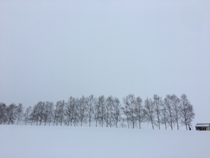 北海道拍婚紗&八天七夜(上)