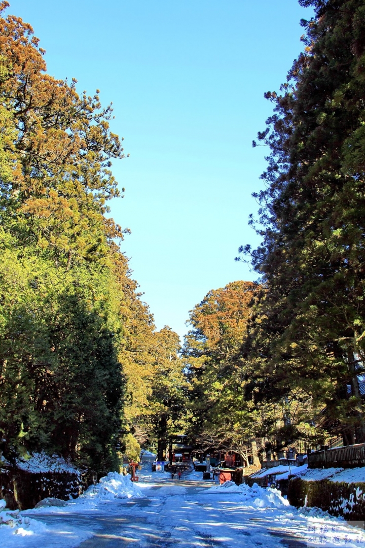 2016日本過新年十三日自助行 (五) 日光。東照宮、二荒山神社、輪王寺大猷院