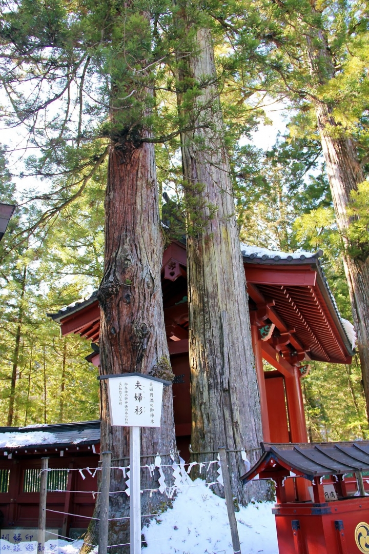 2016日本過新年十三日自助行 (五) 日光。東照宮、二荒山神社、輪王寺大猷院