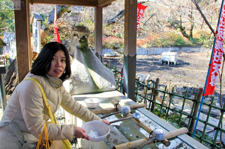 2016日本東京過新年十三日自助行 (三) 三鷹吉卜力美術館、井之頭恩賜公園、吉祥寺、中野百老匯