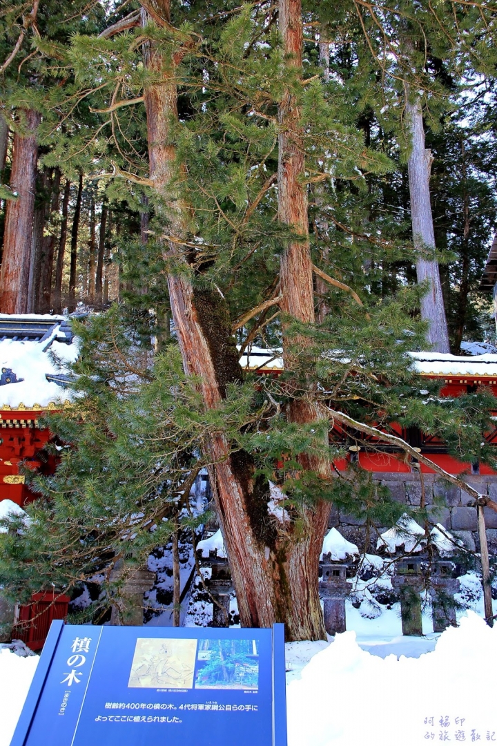 2016日本過新年十三日自助行 (五) 日光。東照宮、二荒山神社、輪王寺大猷院