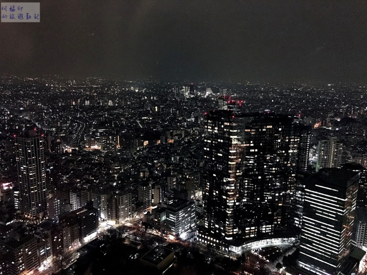 2016日本東京過新年十三日自助行 (一)行程整理、東京都廳夜景、ねぎし牛舌、HANABI 花火飯店、八天堂