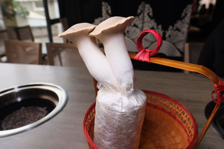 《山鯨燒肉》北台中最強燒肉，美味及份量不輸屋馬及風間， 全台唯一杏鮑菇牆。超多日式祭典活動及主題秀適合生日聚餐開party