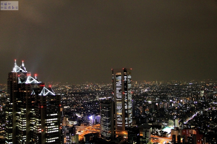 2016日本東京過新年十三日自助行 (一)行程整理、東京都廳夜景、ねぎし牛舌、HANABI 花火飯店、八天堂
