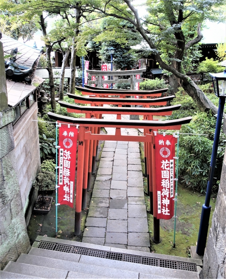 <日本>2017人妻日本放風行DAY1~樁屋珈琲店、上野恩賜公園、不忍池