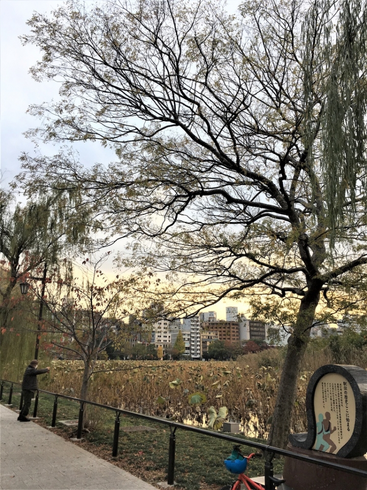 <日本>2017人妻日本放風行DAY1~樁屋珈琲店、上野恩賜公園、不忍池