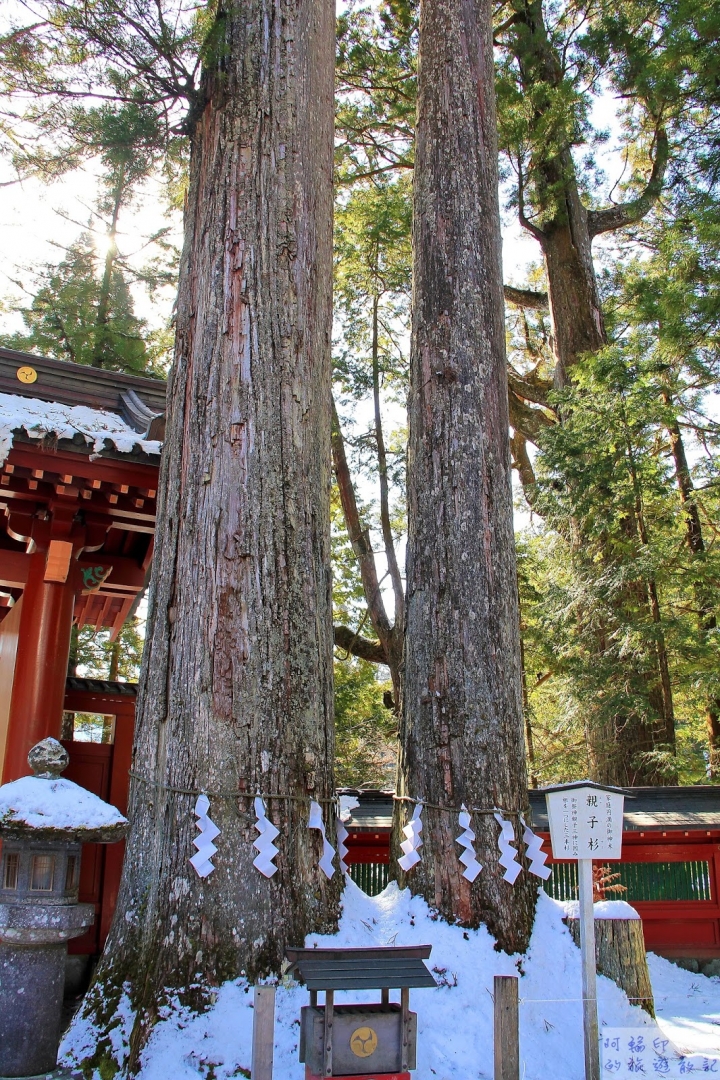 2016日本過新年十三日自助行 (五) 日光。東照宮、二荒山神社、輪王寺大猷院