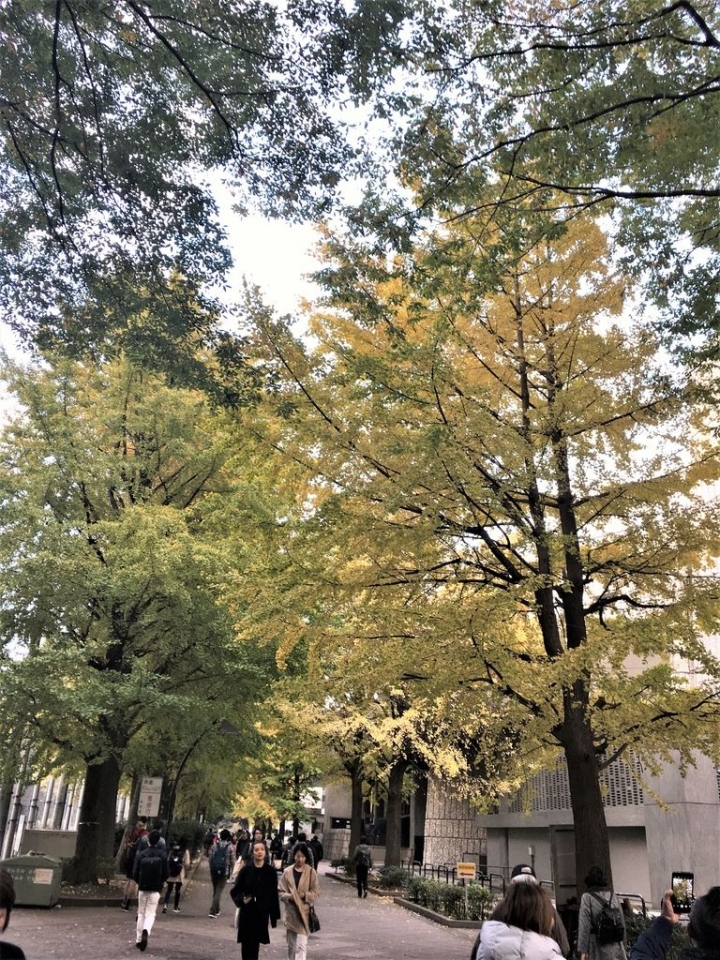 <日本>2017人妻日本放風行DAY1~樁屋珈琲店、上野恩賜公園、不忍池
