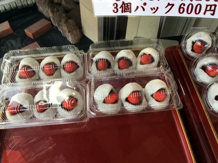 2016日本過新年十三日自助行 (五) 日光。東照宮、二荒山神社、輪王寺大猷院