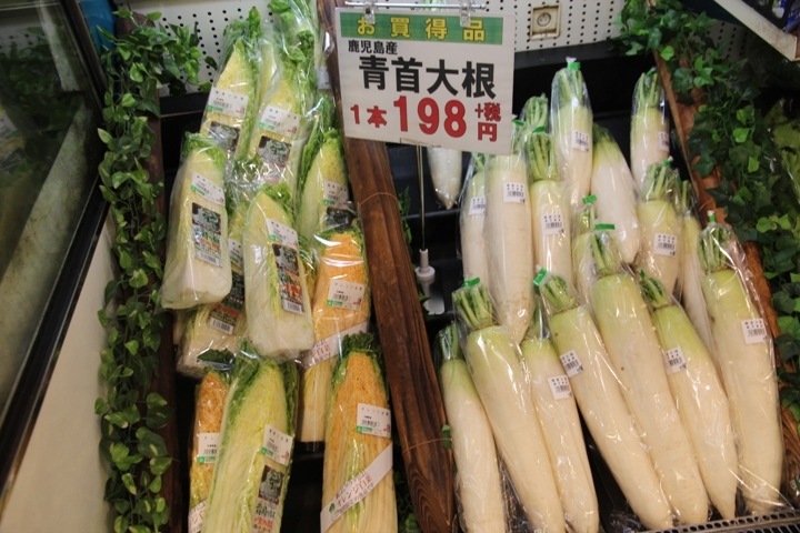 有 福 同 享，日 本 九 州 五 日 遊 記 (第 三 日)