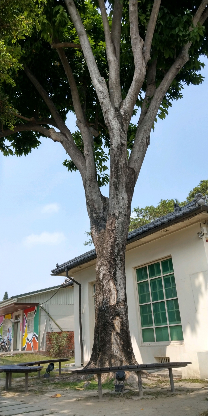 U11+拍屏東勝利新村地景藝術
