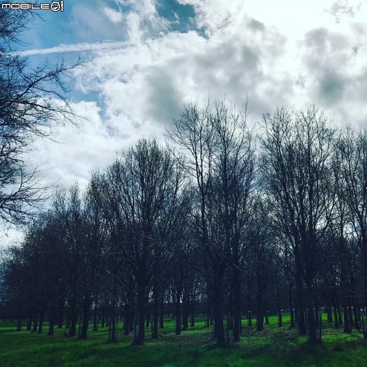 Ireland愛爾蘭 Phoenix Park 鳳凰公園 全歐洲最大公園之一