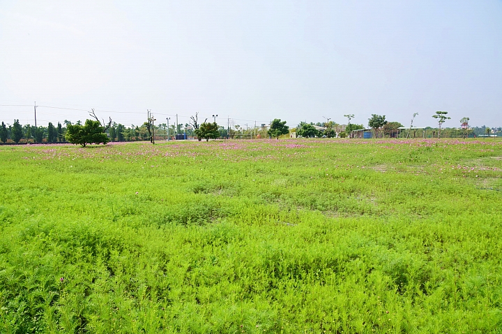 佳冬戰備跑道旁佳冬運動公園：非常適合親子旅遊中途暫停休息、運動與遊玩。