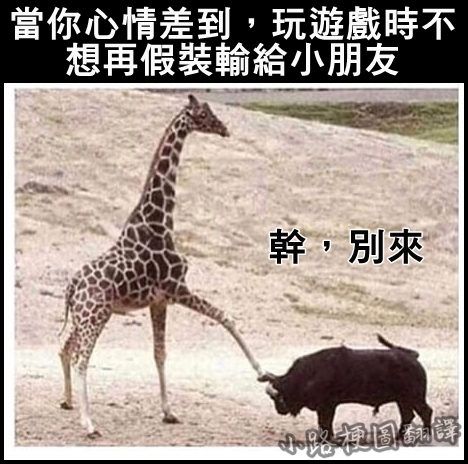 亂翻譯美國鄉民梗圖（11）