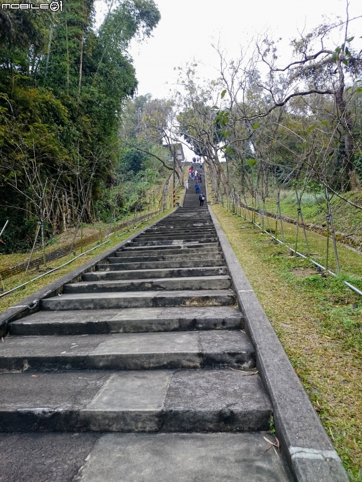 河津櫻 台南市山上屈 原臺南水道-淨水池區02/11