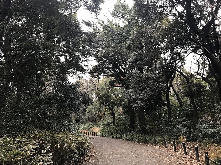 【東京都・港區】4個東京巨蛋？！走進都市中的森林―國立科學博物館附屬自然教育園