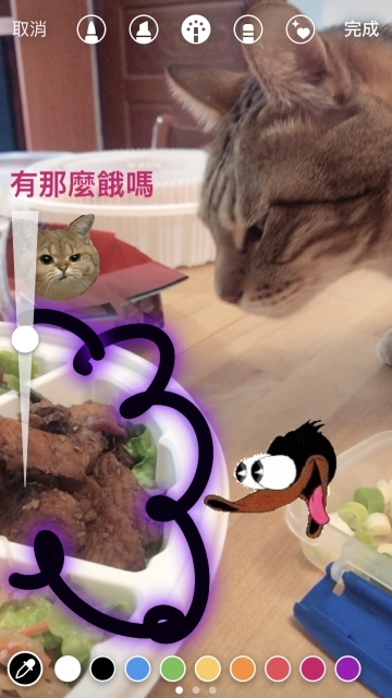 僅保留24小時的美好！淺談Instagram、Facebook與Snapchat限時動態