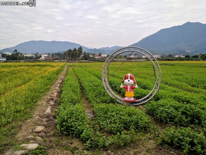 杉林花海 高雄市杉林區02/06