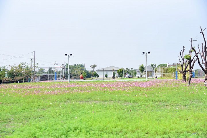 佳冬戰備跑道旁佳冬運動公園：非常適合親子旅遊中途暫停休息、運動與遊玩。