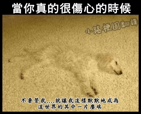 亂翻譯美國鄉民梗圖（11）
