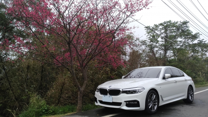 [開箱文] G30 520i M sport