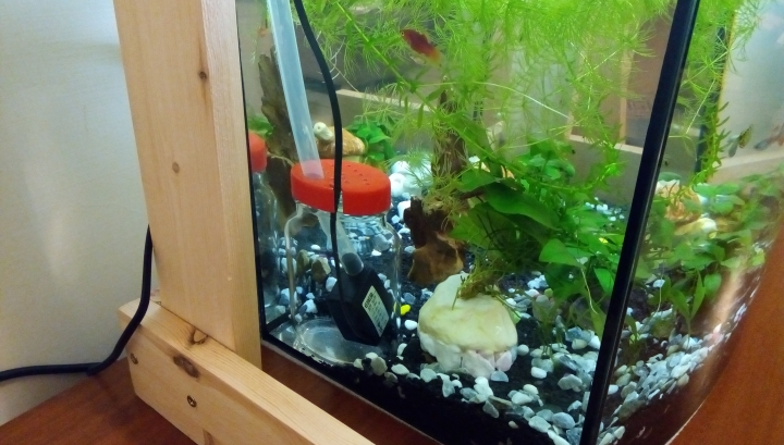 不專業的木工，DIY的魚缸燈跟過濾器