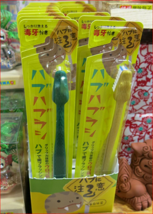 我在沖繩看到的又10件特別東西