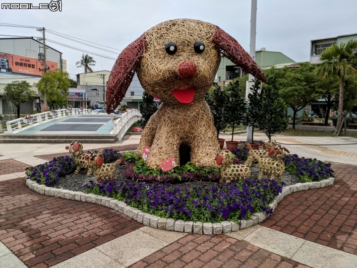 玫瑰花 台南市仁德區仁德滯洪池02/04