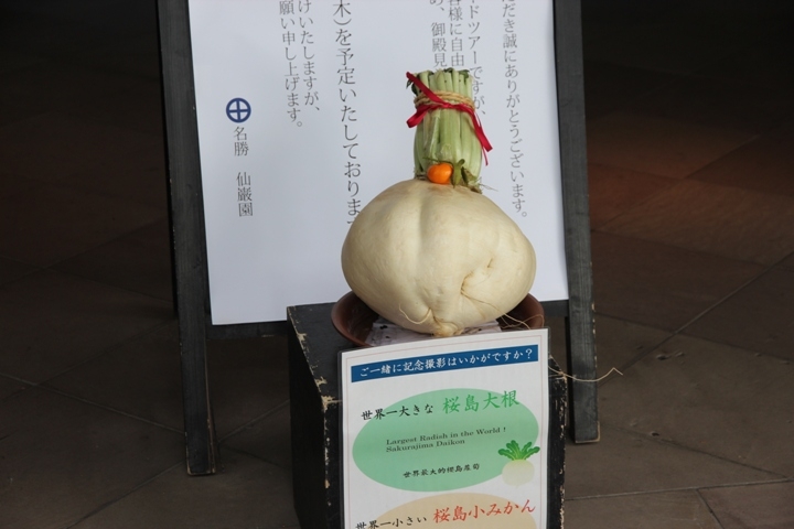 有 福 同 享，日 本 九 州 五 日 遊 記 (第 三 日)
