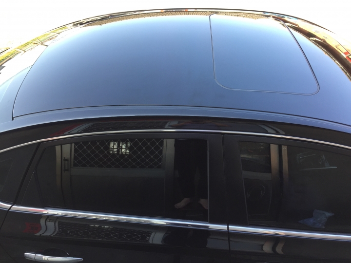 New sentra black-黑仙草小開箱