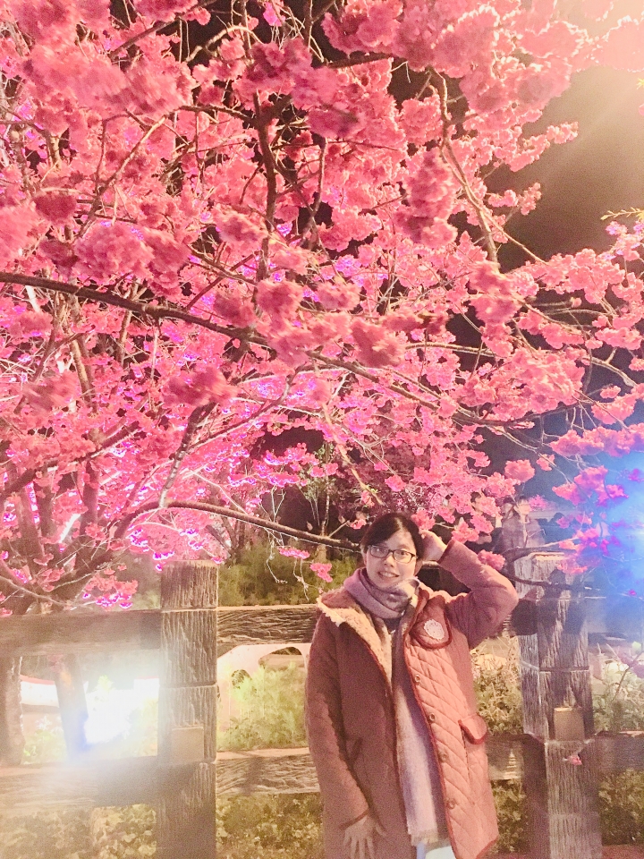 泰安派出所櫻花2018