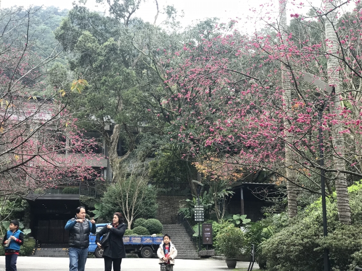 一個人臨時的大板根週未充電之旅