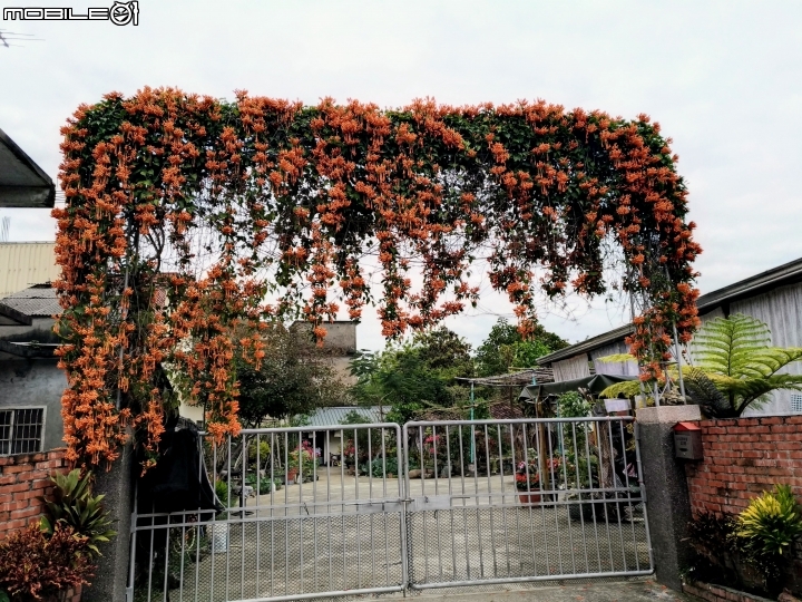 杉林Q版彩繪好神庄 高雄市杉林區杉林郵局旁小巷02/06