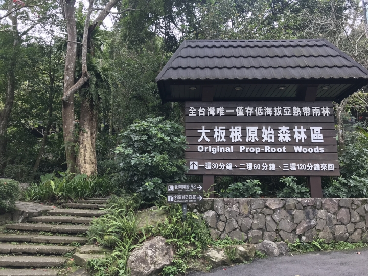 一個人臨時的大板根週未充電之旅