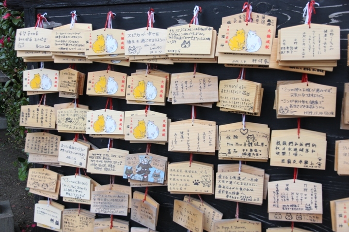 有 福 同 享，日 本 九 州 五 日 遊 記 (第 三 日)