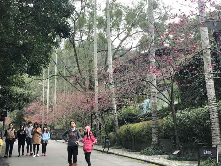 一個人臨時的大板根週未充電之旅