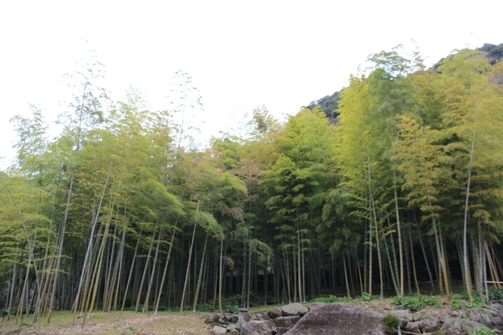 有 福 同 享，日 本 九 州 五 日 遊 記 (第 三 日)