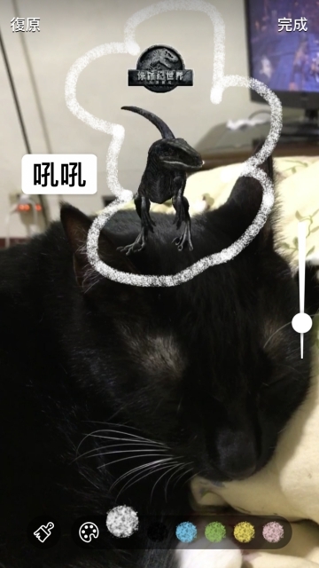 僅保留24小時的美好！淺談Instagram、Facebook與Snapchat限時動態