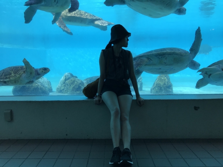 【Okinawa．走跳】沖繩北部美麗海水族館超療癒黑潮之海賞鯨鯊