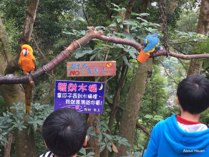 來到南投，不能錯過星月天空