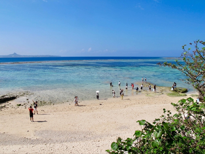 【Okinawa．走跳】沖繩北部美麗海水族館超療癒黑潮之海賞鯨鯊