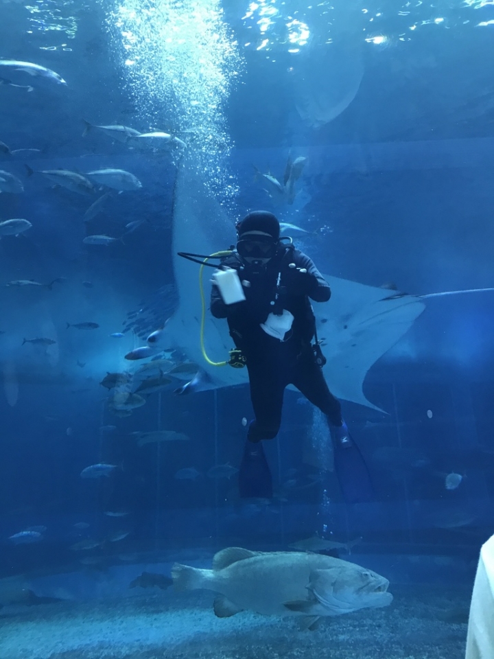 【Okinawa．走跳】沖繩北部美麗海水族館超療癒黑潮之海賞鯨鯊