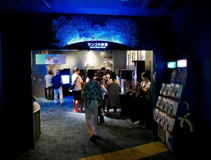 【Okinawa．走跳】沖繩北部美麗海水族館超療癒黑潮之海賞鯨鯊