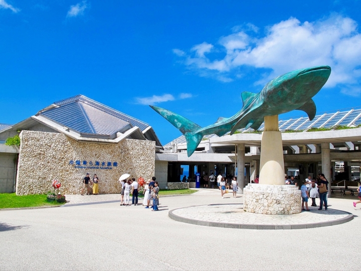 【Okinawa．走跳】沖繩北部美麗海水族館超療癒黑潮之海賞鯨鯊