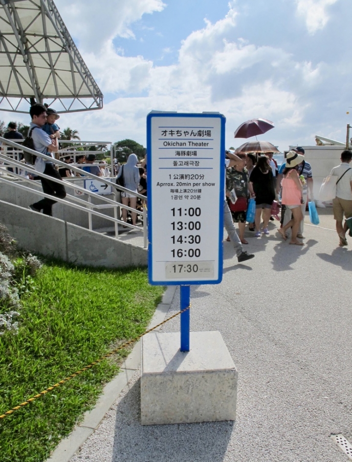 【Okinawa．走跳】沖繩北部美麗海水族館超療癒黑潮之海賞鯨鯊