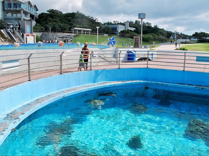 【Okinawa．走跳】沖繩北部美麗海水族館超療癒黑潮之海賞鯨鯊