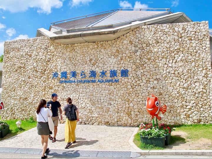 【Okinawa．走跳】沖繩北部美麗海水族館超療癒黑潮之海賞鯨鯊
