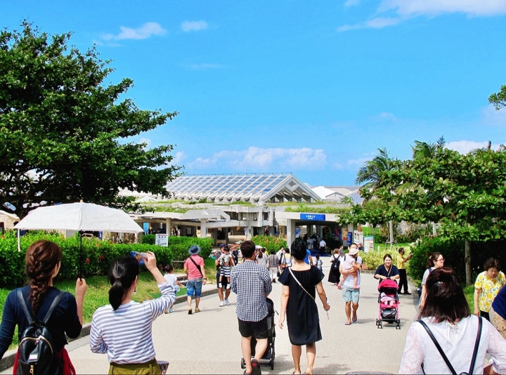 【Okinawa．走跳】沖繩北部美麗海水族館超療癒黑潮之海賞鯨鯊