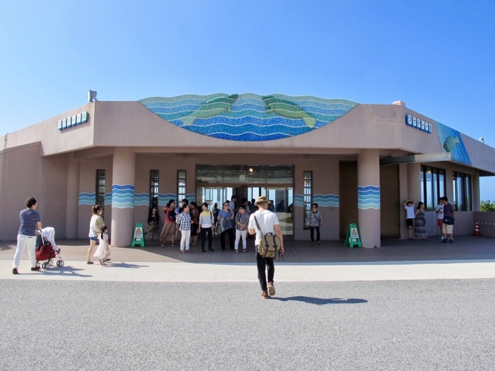 【Okinawa．走跳】沖繩北部美麗海水族館超療癒黑潮之海賞鯨鯊
