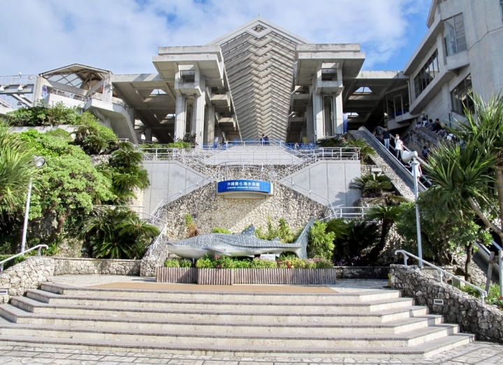 【Okinawa．走跳】沖繩北部美麗海水族館超療癒黑潮之海賞鯨鯊